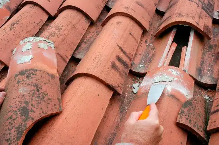 Sustitución de tejas y limpieza de canalones